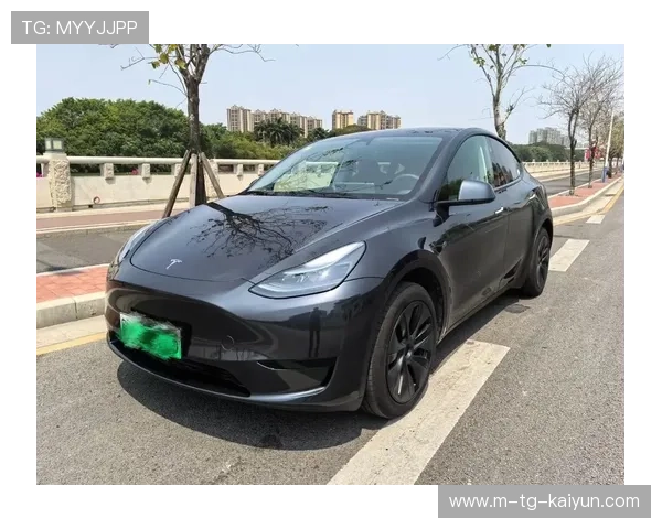 特斯拉Model Y全面解析与性能体验深度评测指南 特斯拉Model Y全面解析与性能体验深度评测指南